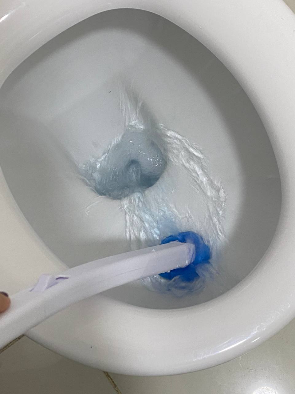 Cepillo limpiador de Inodoro desechable